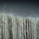 Illustration for article titled Super close up images of common objects are beautifully alien